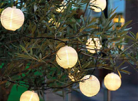 Guirlande composée de boules lumineuses posées dans un olivier