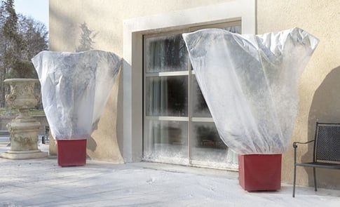 Housse D'Hivernage Pour Plantes 100x120cm - Tissu Non Tissé Respirant, Protection Gel, Vent, Neige, Réutilisable