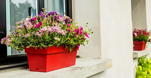 Jardinière rouge plantée d'oeillets sur un bord de fenêtre