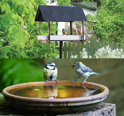 Abreuvoir à oiseaux avec deux mésanges bleues