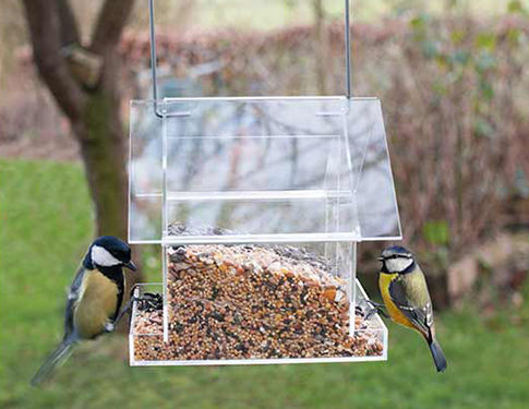 Mangeoire à oiseaux transparente avec deux oiseaux posés