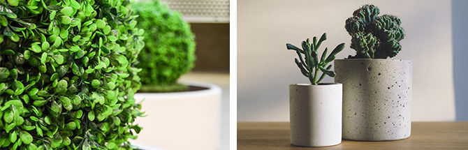 Fausses plantes en pot