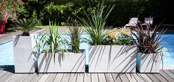 Jardinières rectangulaires avec plantes le long d'une piscine