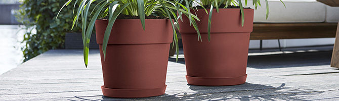 Pots de fleurs ronds hauts dans leur soucoupe assortie