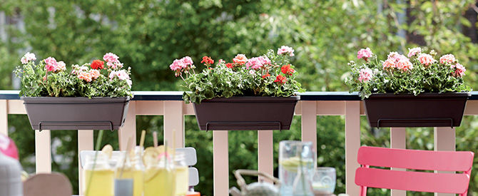 Balconnières accrochées à une rembarde de balcon