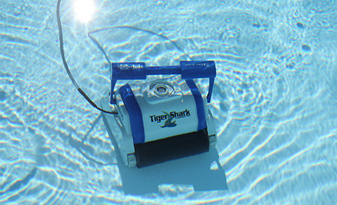 Robot de piscine Tiger Shark nettoyant le fond d'une piscine