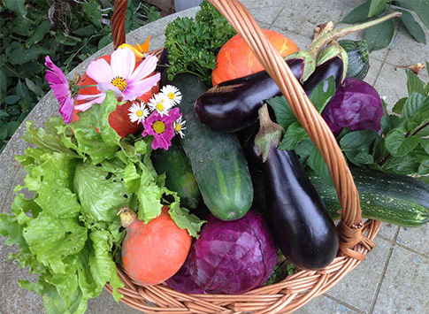 Panier de légumes frais