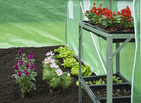 Intérieur d'une sere en plastique avec des plantes