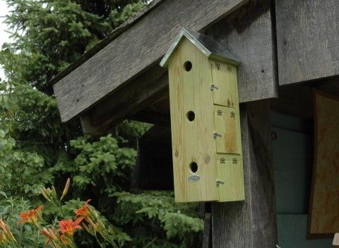 Villa pour moineaux accrochée sous un toit