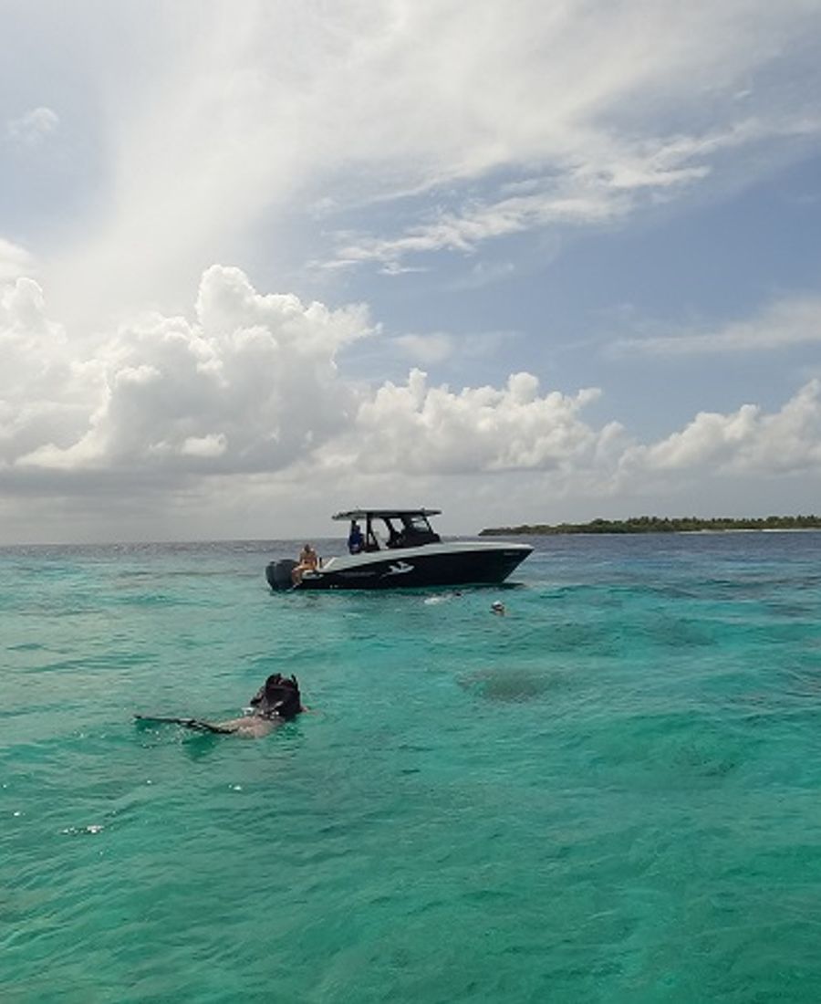 Speed boat Snorkeling