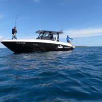 Big Game Fishing
