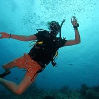 PADI Open Water Diver
