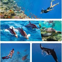 Expeditions Adventures