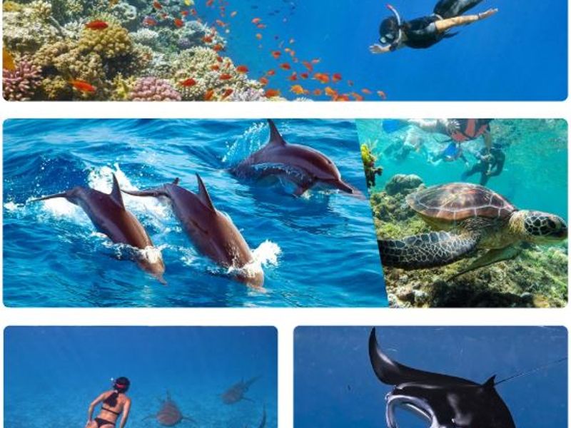 Expeditions Adventures