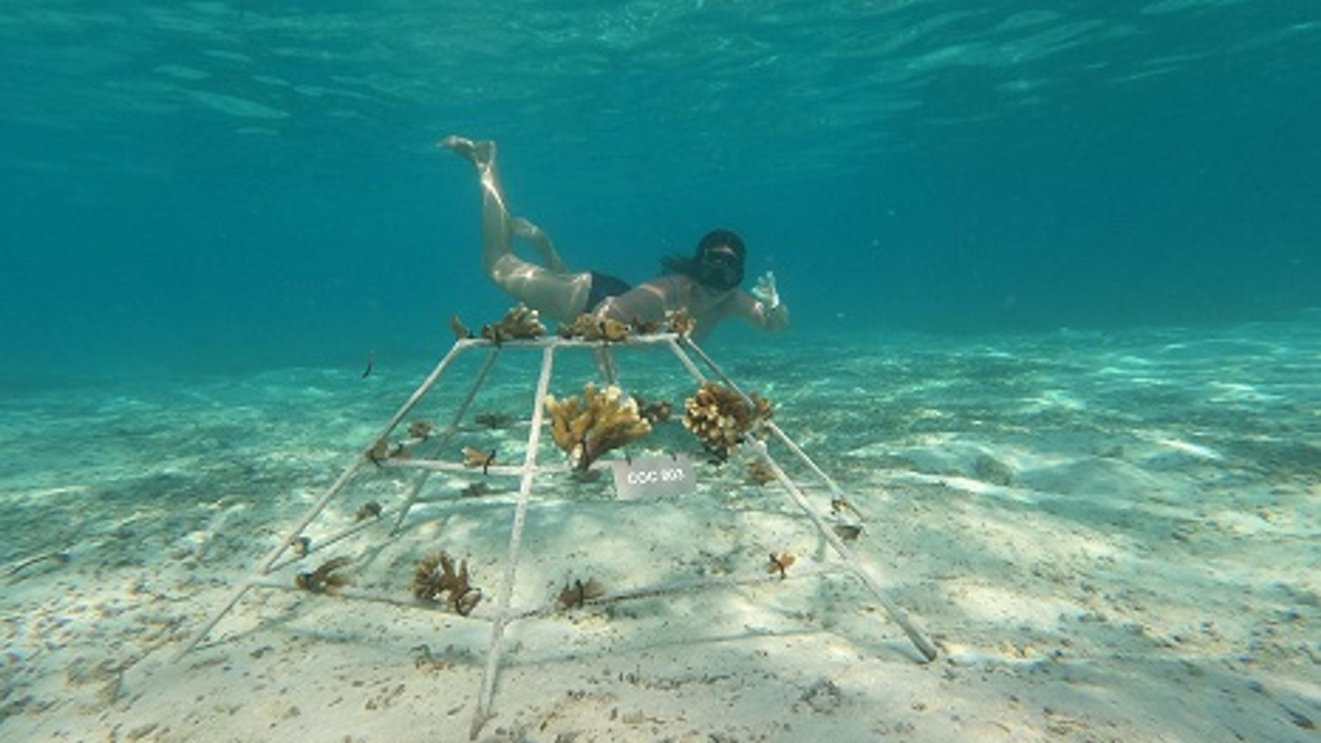 Marine Biology Center