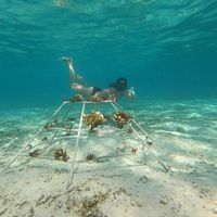 Marine Biology Center