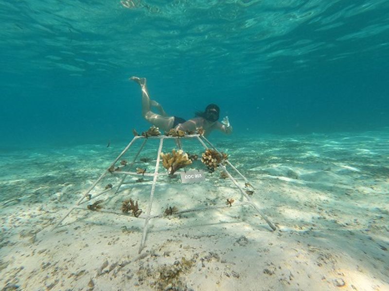 Marine Biology Center