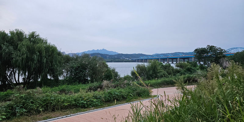 Travel photos from Seoul 10