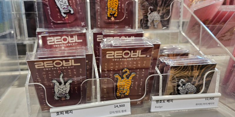 Travel photos from Seoul 7
