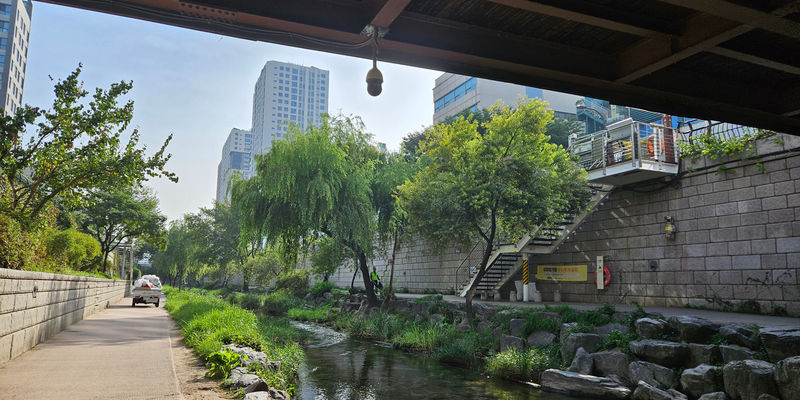Travel photos from Seoul 1