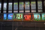 Travel photos from Seoul thumbnail 9