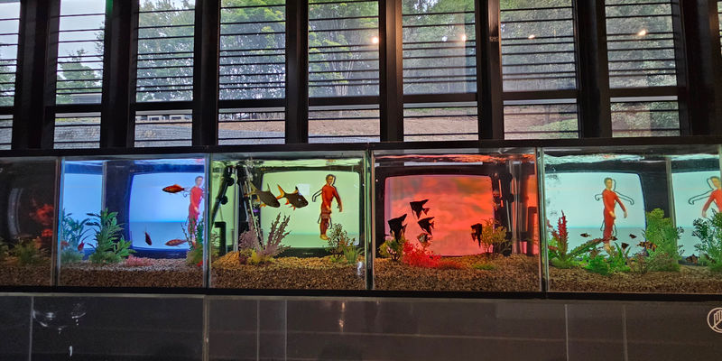 Travel photos from Seoul 9