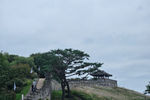 Travel photos from Seoul thumbnail 4