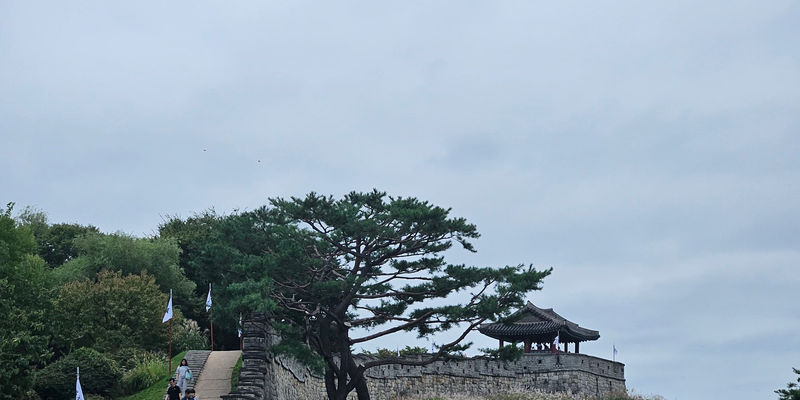 Travel photos from Seoul 4