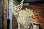 Travel photos from Seoul thumbnail 9