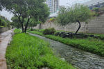 Travel photos from Seoul thumbnail 1