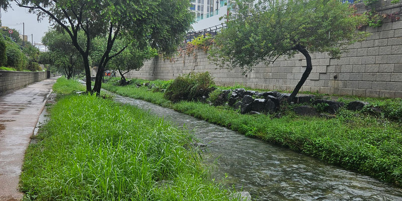 Travel photos from Seoul 1