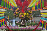 Travel photos from Seoul thumbnail 2