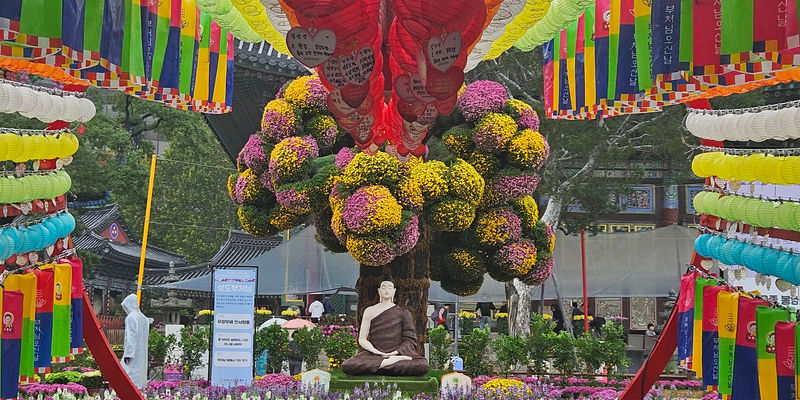 Travel photos from Seoul 2