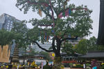 Travel photos from Seoul thumbnail 3