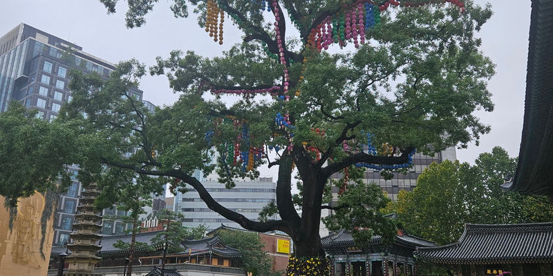Travel photos from Seoul 3