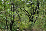 Travel photos from Seoul thumbnail 10