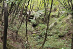 Travel photos from Seoul thumbnail 2