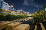 Travel photos from Seoul thumbnail 3