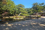 Travel photos from Seoul thumbnail 3