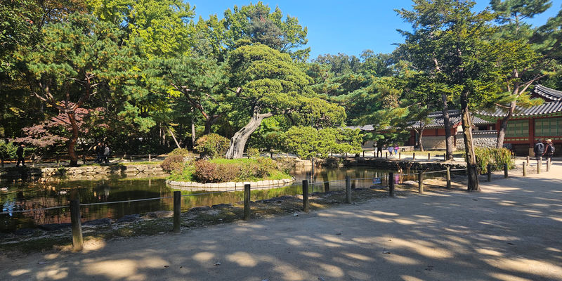 Travel photos from Seoul 3