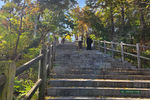Travel photos from Seoul thumbnail 1