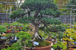 Travel photos from Seoul thumbnail 13