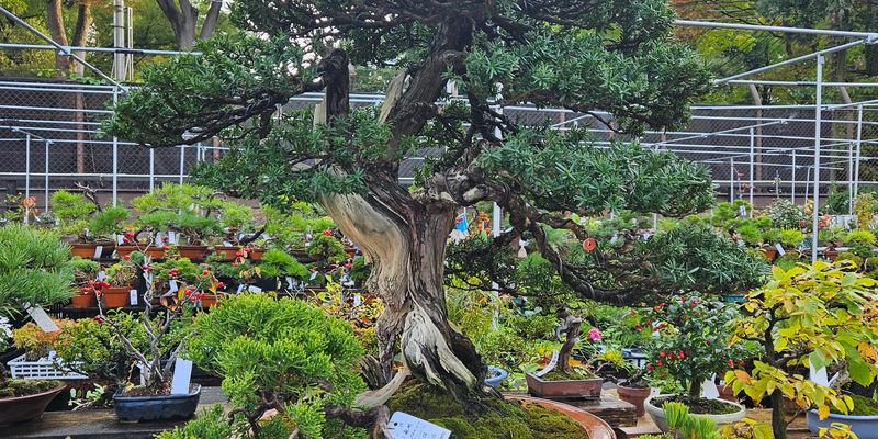 Travel photos from Seoul 13