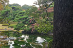Travel photos from Seoul thumbnail 11