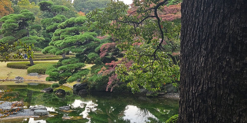 Travel photos from Seoul 11