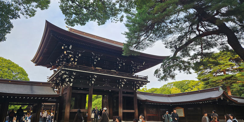 Travel photos from Seoul 12