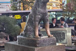 Travel photos from Seoul thumbnail 21