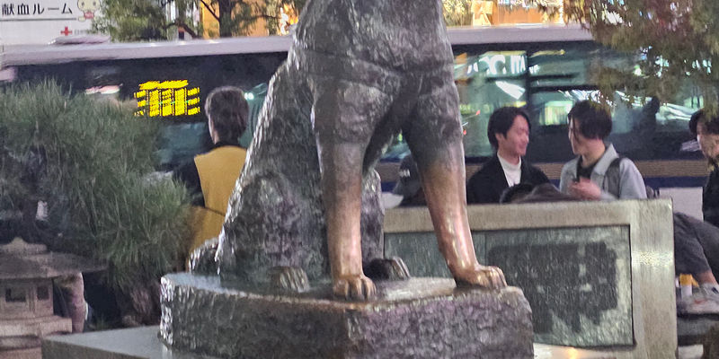 Travel photos from Seoul 21