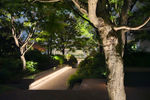 Travel photos from Seoul thumbnail 22