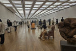Travel photos from Seoul thumbnail 14